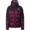 THE NORTH FACE W DIABLO DWN HD EU PAMPLONA PUR 22