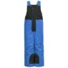 PICTURE SNOWY TODDLER BIB PANTS BLUE 23