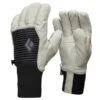 BLACK DIAMOND SESSION KNIT GLOVES BIRCH BLACK 23