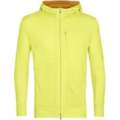 ICEBREAKER M QUANTUM III LS ZIP HOOD SHINE 23