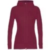 ICEBREAKER QUANTUM III LS ZIP HOOD CHERRY 23