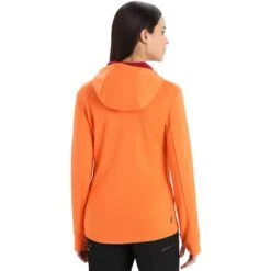 ICEBREAKER W QUANTUM III LS ZIP HOOD FLASH/C -Warm Winter Outlet Store 9 116065 w quantum iii ls zip hood flash c 551 ib0a59jw 551 03