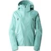 THE NORTH FACE W LENADO JKT WASABI 23