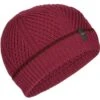 ICEBREAKER WAYPOINT BEANIE CHERRY/ESPRESSO 23