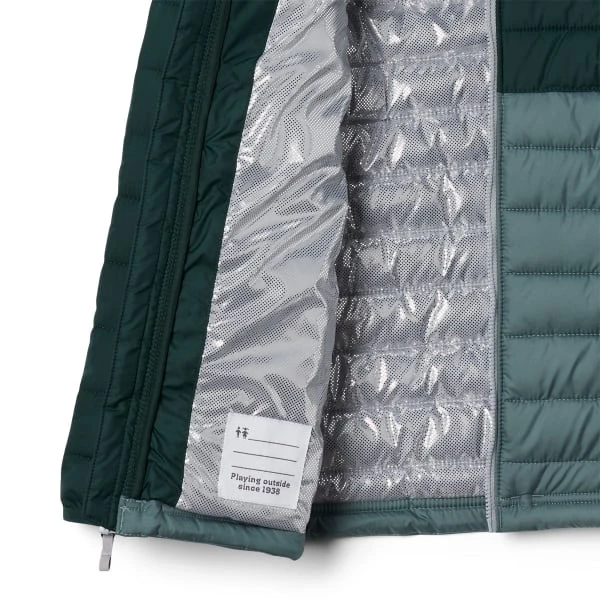 COLUMBIA BOYS POWDER LITE HDD JKT METAL SPRUCE 23 3 COLUMBIA BOYS POWDER LITE HDD JKT METAL SPRUCE 23 - Image 3