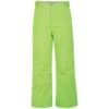 DARE 2B TAKE ON PANT KIDS NEON GREEN 19