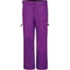 DARE 2B SPUR ON PANT ULTRVIOLPURP 19